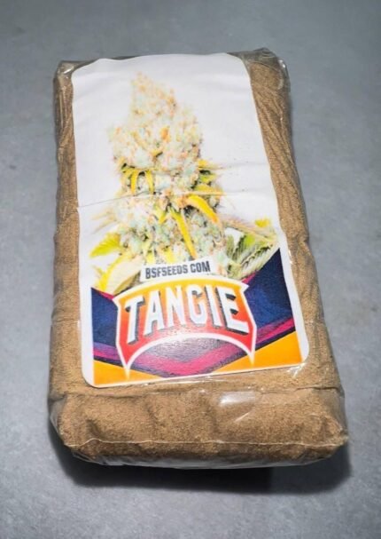 Buy VVS Tangie Hash online