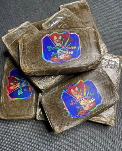 buy Biscotti Boys SSh EU