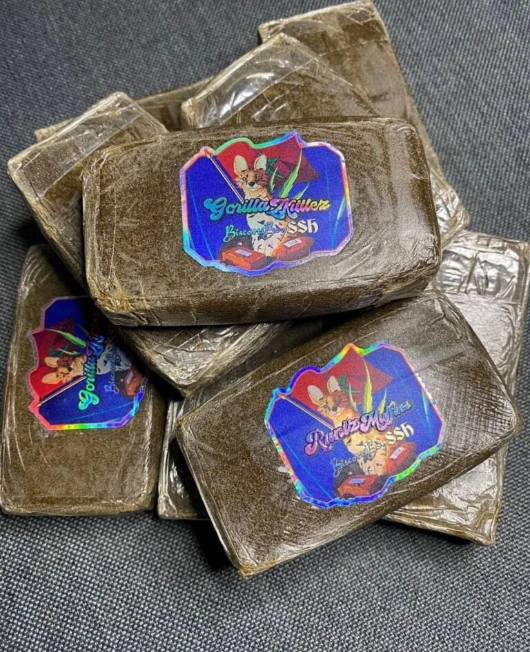 buy Biscotti Boys SSh EU