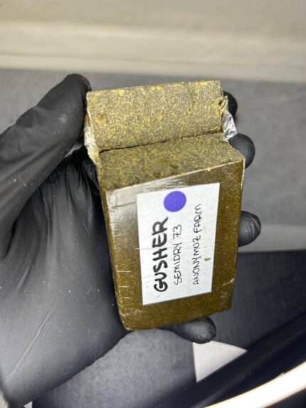 Buy Anonymous Farm Hash Europe
