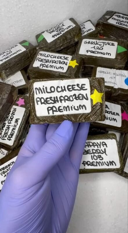 Buy Anonymuz Frozen Hash EU